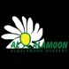 Al Qalamoon Nurseries logo